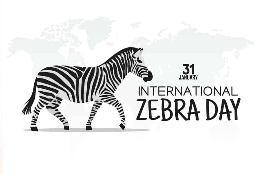 International Zebra Day 2023 : History, Celebration, Facts international zebra day