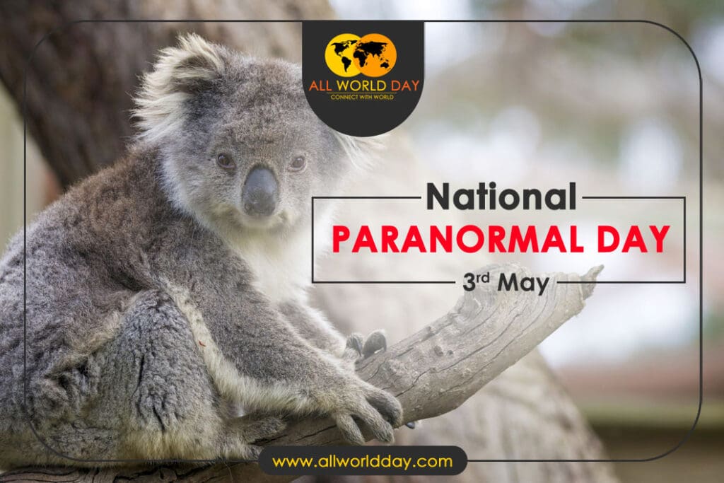 International Wild Koala Day 3rd May 2023 International Wild Koala Day 2023