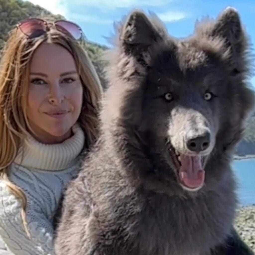 Woman Introduces Her Super-Rare Blue Wolf Pup and She's Already a Sensation