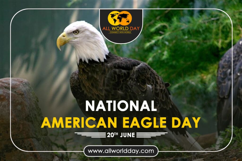 National American Eagle Day 2023: Theme, History, Quotes, Celebration National American Eagle Day