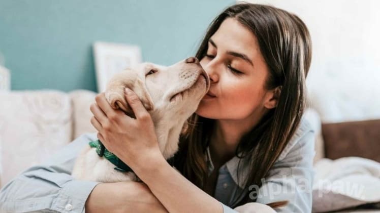 Nurturing, Understanding, and Celebrating the World of Pets