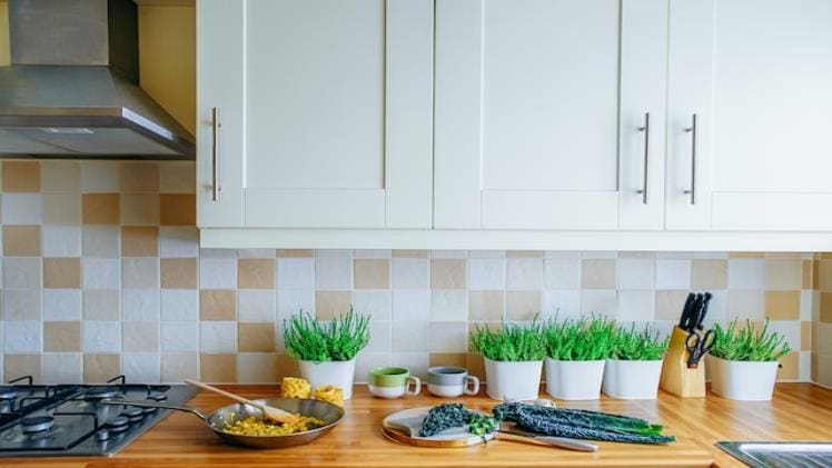 6 Types of Mexican Tile to Consider for an Authentic Look