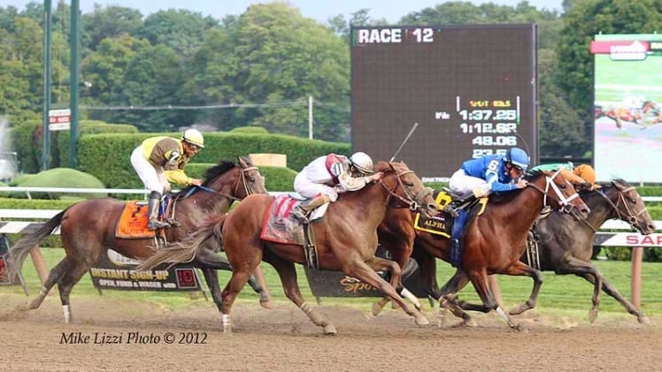 Everything You Need To Know About Travers Stakes 2023
