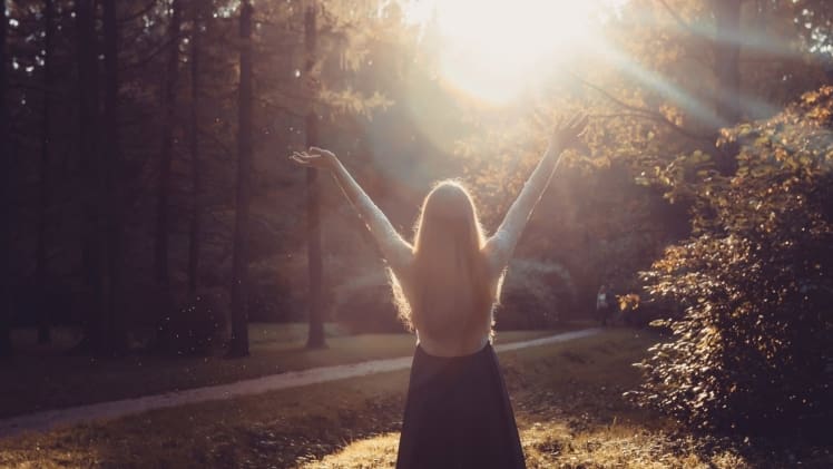 Harnessing the Healing Powers of Homegrown Health