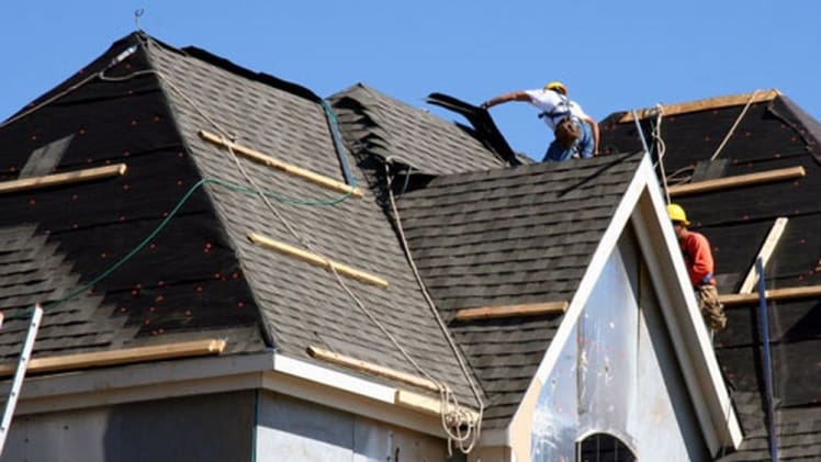 Unwanted Roof Growths –Types, Causes, And Ways To Deal With Them