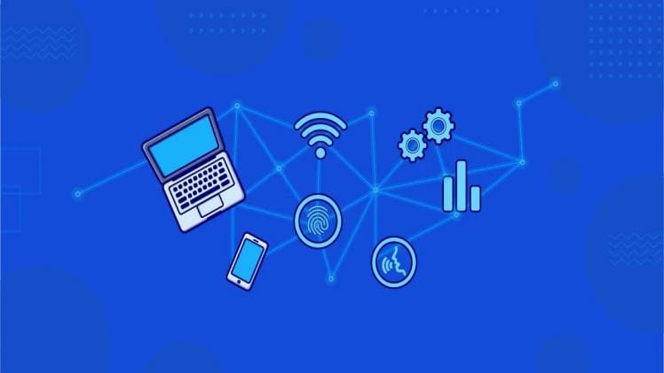 Discovering Software Development Firms’ Dynamic Services to Accelerate Business Growth