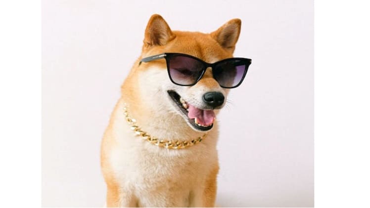 Exploring the Various Influences on Shiba Inu’s Volatile Market