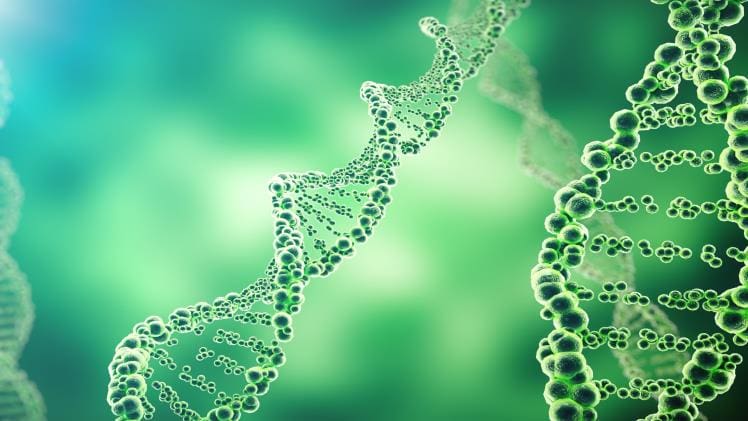 Sequence Listings for Health: Understanding Your Genetic Profile