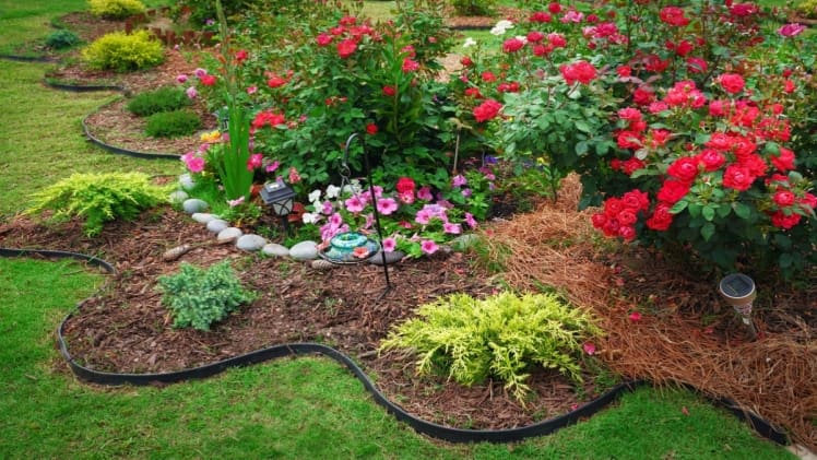 The Benefits Of Professional Landscaping In Auckland Enhancing Property Value