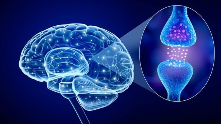 An Interesting Link Between Serotonin and One Special Herb