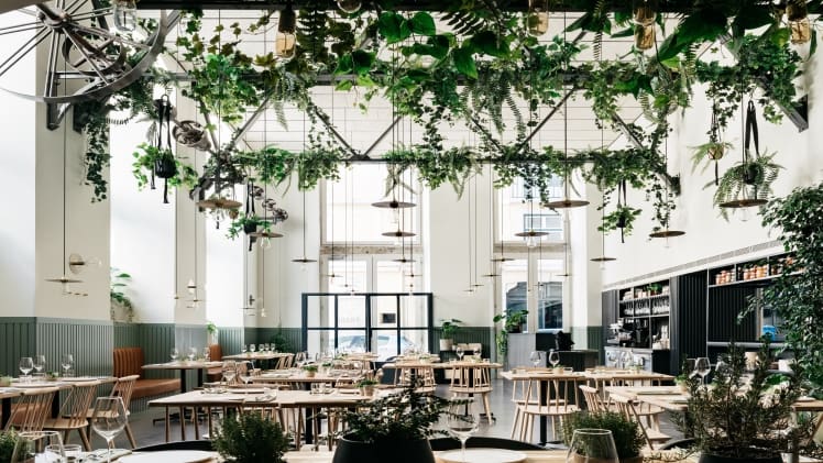 Why are Design Enthusiasts Obsessed with these Nostalgic, high quality restaurant chairs?