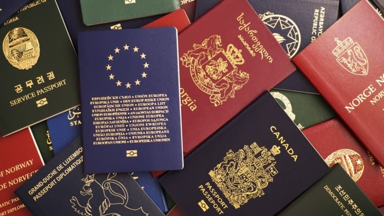 Who Can Benefit From Citizenship by Investment Programs?