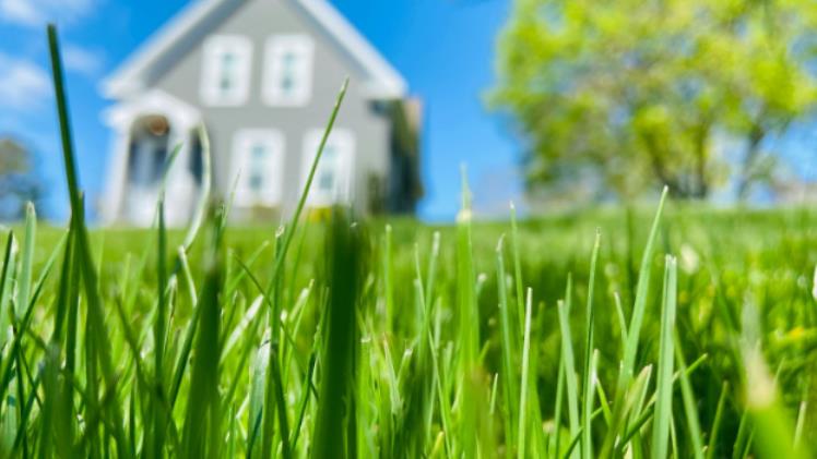 How To Prepare Your Site For Hydroseeding