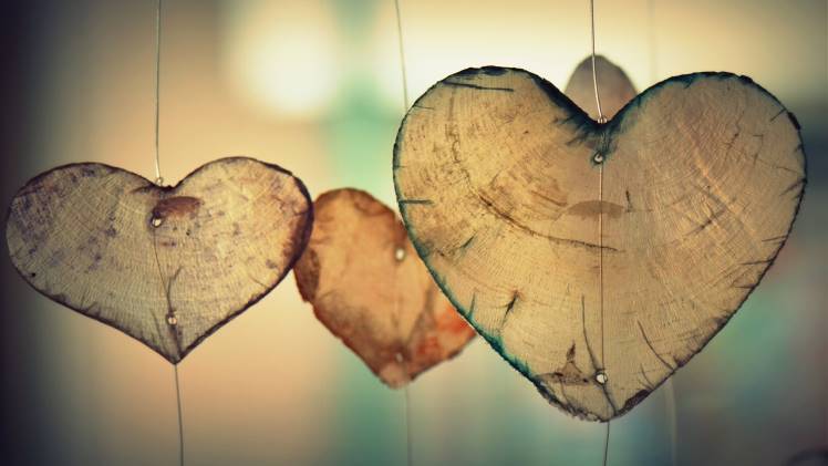 Love What You Have, Before Life Teaches You To Lov – Tymoff