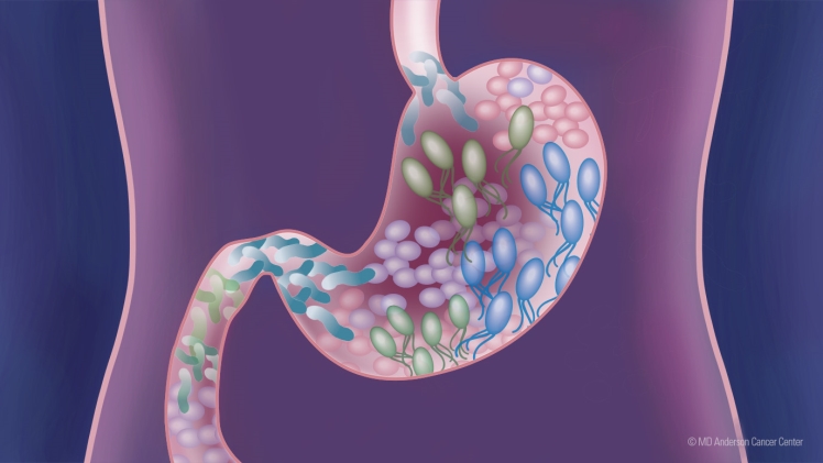 The Role Of Gut Health In Overall Well-being: Maintaining A Healthy Microbiome