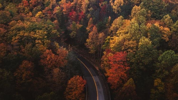 Traveling For Your Well-being – 5 Reasons To Vacay This Year
