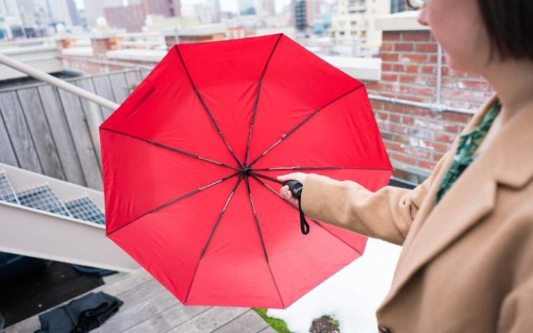 Choosing the Perfect Umbrella: Style Meets Functionality